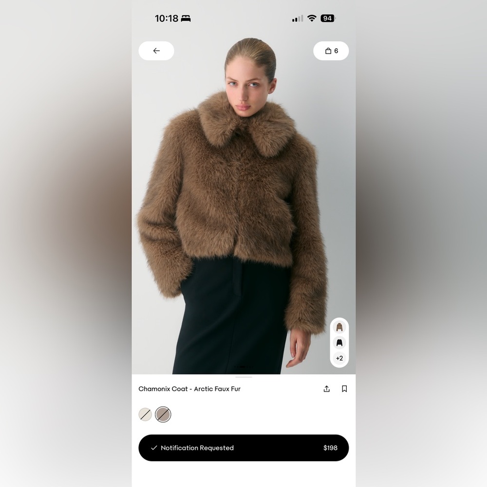 Aritzia Chamonix Coat - Arctic Faux Fur